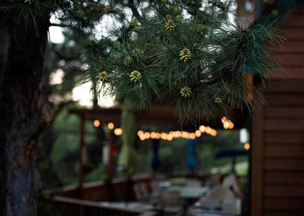 Coyote Blues Village Bed & Breakfast Silver City Exterior photo